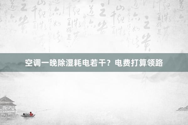 空调一晚除湿耗电若干？电费打算领路